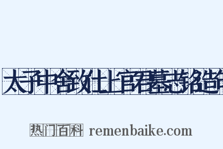 太子中舍致仕上官君墓志铭造句是什么意思的图片